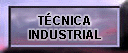 BOTAO17.gif (5768 bytes)